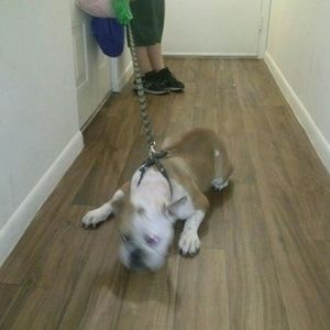 Meet your Posher, Christina