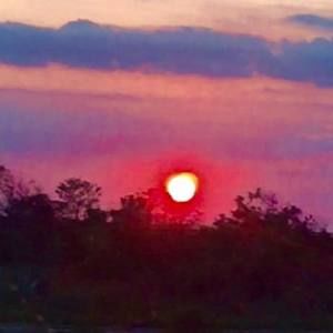 Meet your Posher, Greg