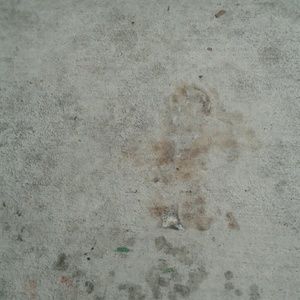 Meet your Posher, Tim