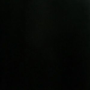 Meet your Posher, Corleon