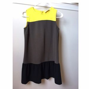 Petite LOFT Color Block Shift Dress