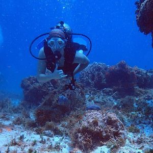 Meet your Posher, Hattie