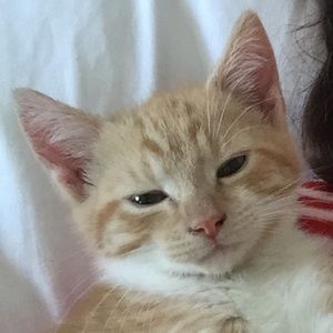 Meet your Posher, Maddy