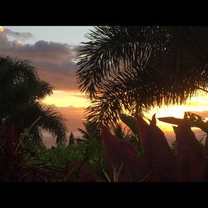 Meet your Posher, Sandy