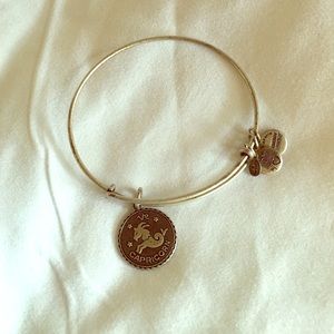 Alex & Ani Capricorn bracelet