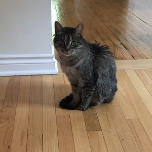 Meet your Posher, Erica