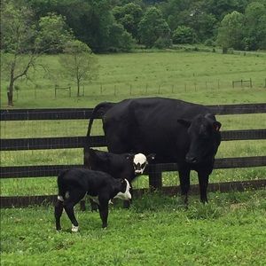 Meet your Posher, Kim