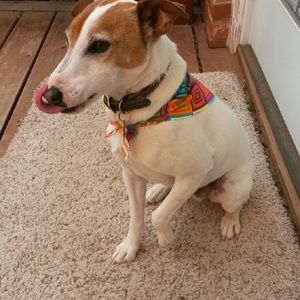 Meet your Posher, Audra