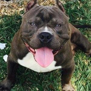 Meet your Posher, Cleveland