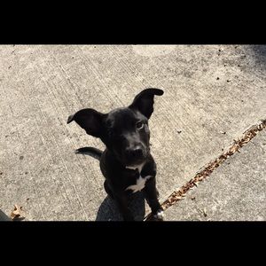 Meet your Posher, Denise