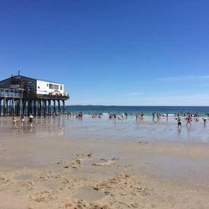 Meet your Posher, Danielle