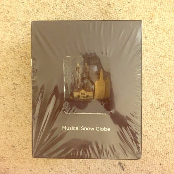 Musical snow globe of Chicago