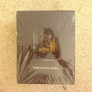 Musical snow globe of Chicago