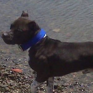 Meet your Posher, Shawn