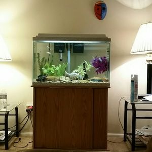 Meet your Posher, Phillip