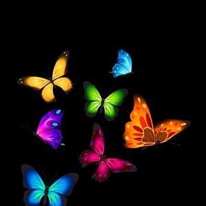 Meet your Posher, Lee