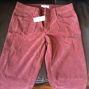LOFT Women's Size 6 Corduroy Deep Red Pants