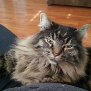 Meet your Posher, Angela