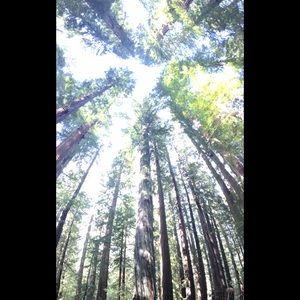 Meet your Posher, Josh