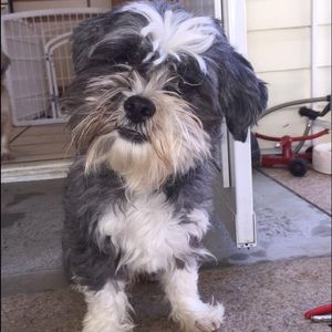 Meet your Posher, Gisel