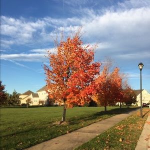 Meet your Posher, Sheree