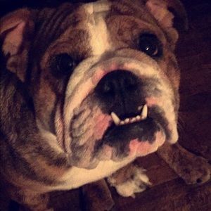 Meet your Posher, Cesar