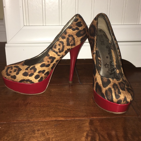 Cheetah pump