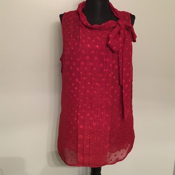 Sleeveless Banana Republic Sheer Blouse