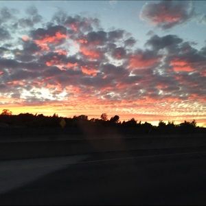 Meet your Posher, Karinna