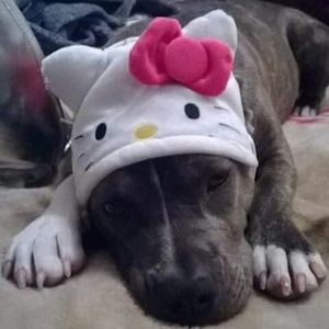 Meet your Posher, Theresa