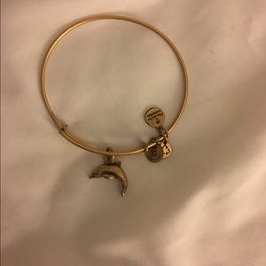 Dolphin charm Alex & ani