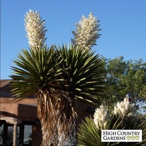 Meet your Posher, Sean