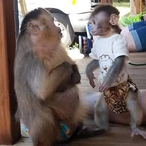 Meet your Posher, Brenda