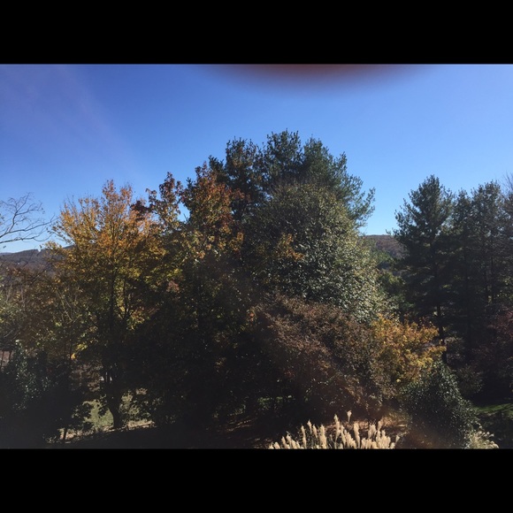 Meet your Posher, April - Picture 1 of 1