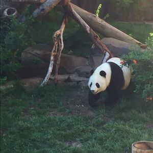 Meet your Posher, Angel