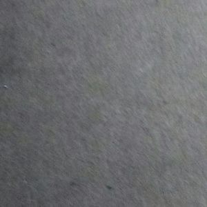 Meet your Posher, Tamara