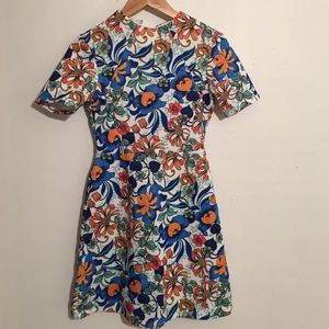 Asos Bold Floral Structured Skater Dress