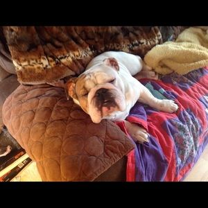 Meet your Posher, Suzette