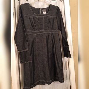 Adorable denim fall dress