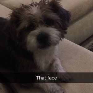 Meet your Posher, Jenny