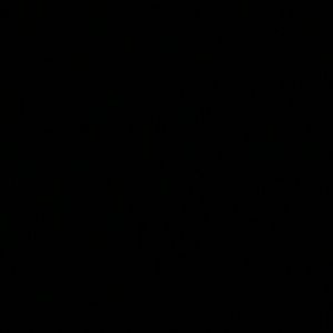 Meet your Posher, Daysha