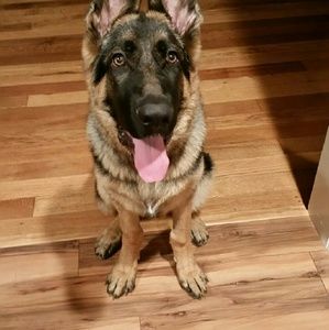 Meet your Posher, Monika