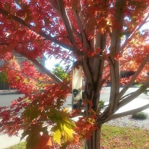 Meet your Posher, Cory