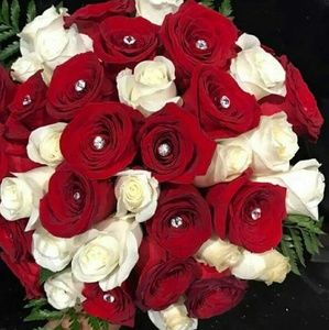 Meet your Posher, Jazmin