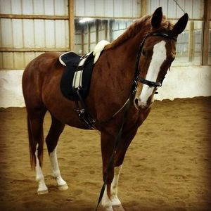 Meet your Posher, Annamaria