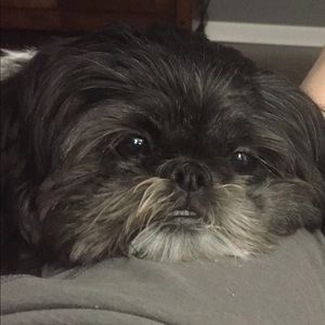 Meet your Posher, Jackie