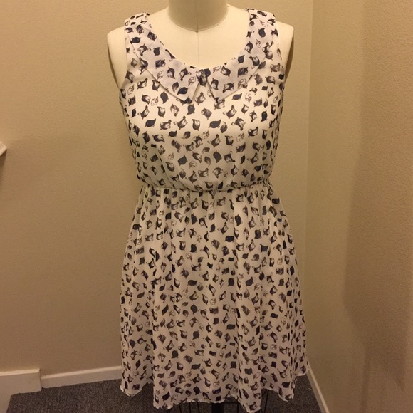 cocolove Dresses & Skirts - Bird patterned dress with Peter Pan collar. ✨✨✨