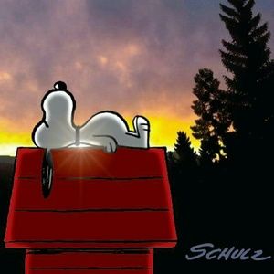 Meet your Posher, Jacqueline