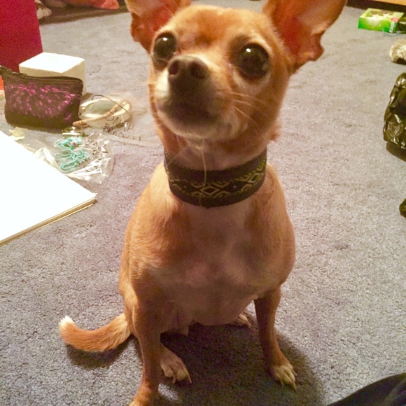 💥Snap Bracelet💥