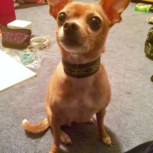 💥Snap Bracelet💥